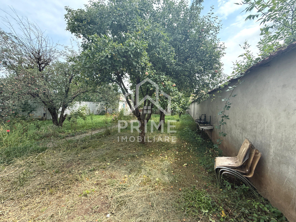 Case de vanzare Alba Iulia Cetate 12