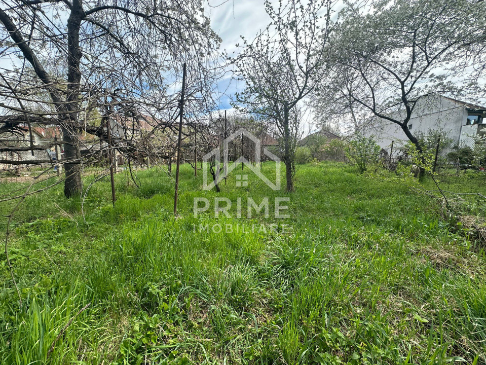 Case de vanzare Alba Iulia Central 7