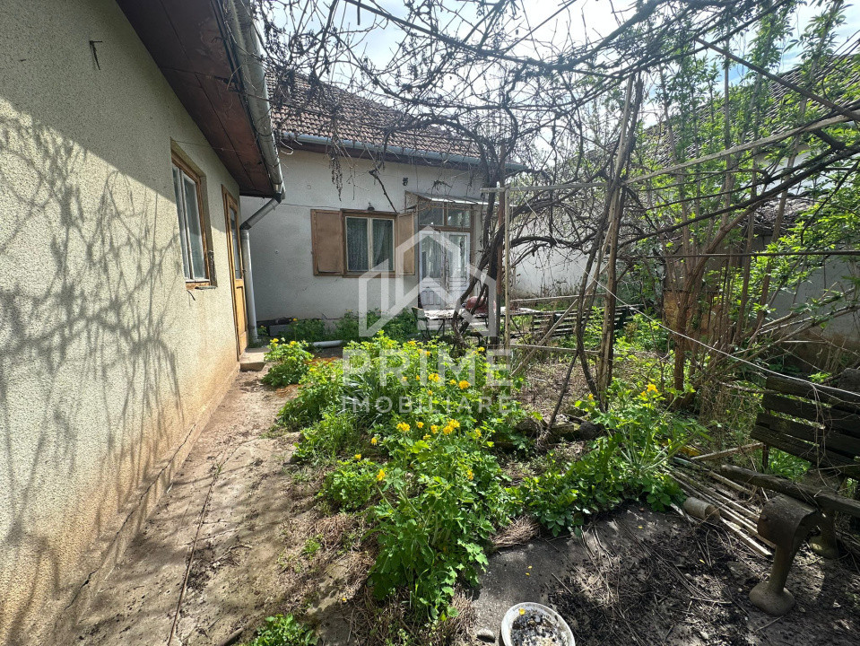 Case de vanzare Alba Iulia Central 11