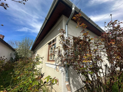 Case de vanzare Alba Iulia Central imagine mica 10