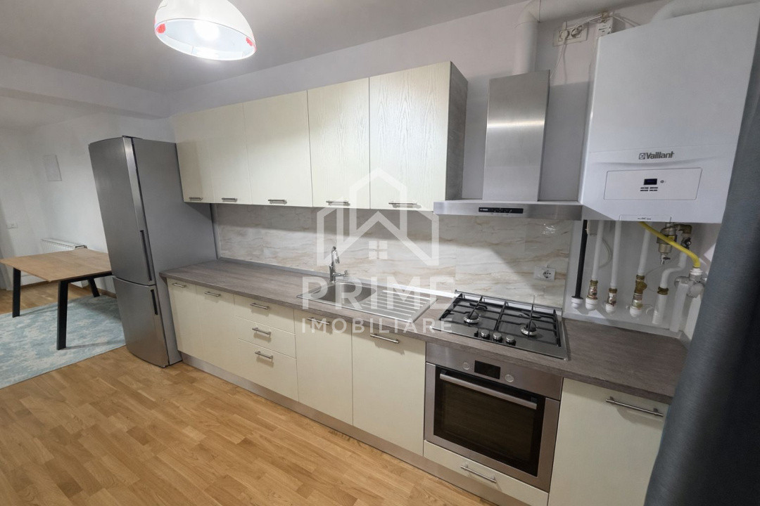 Case de vanzare Alba Iulia Barabant 3