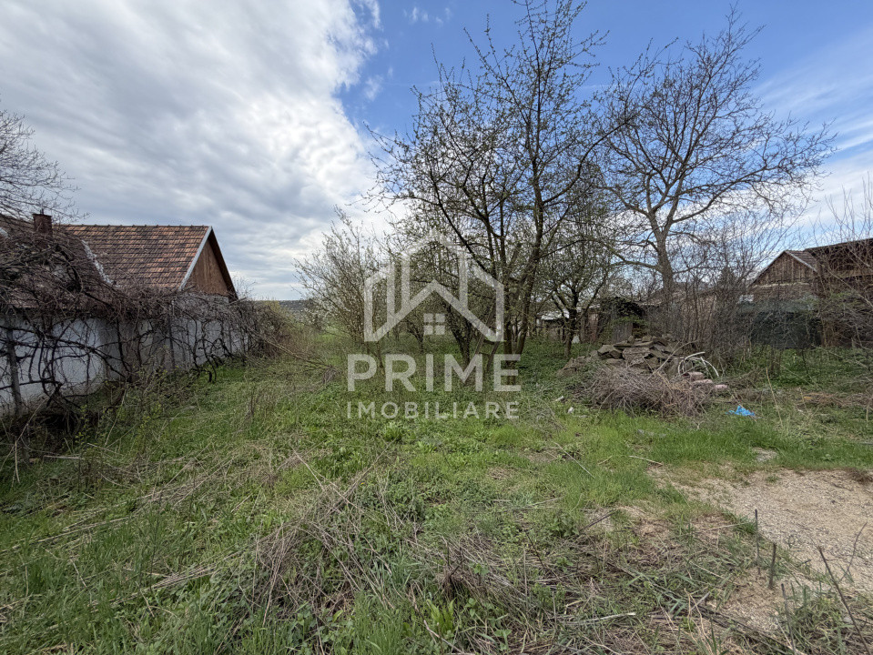 Case de vanzare Blaj Ultracentral 4