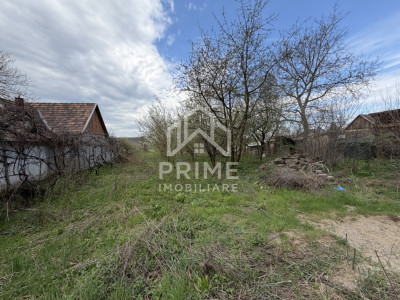 Case de vanzare Blaj Ultracentral imagine mica 4