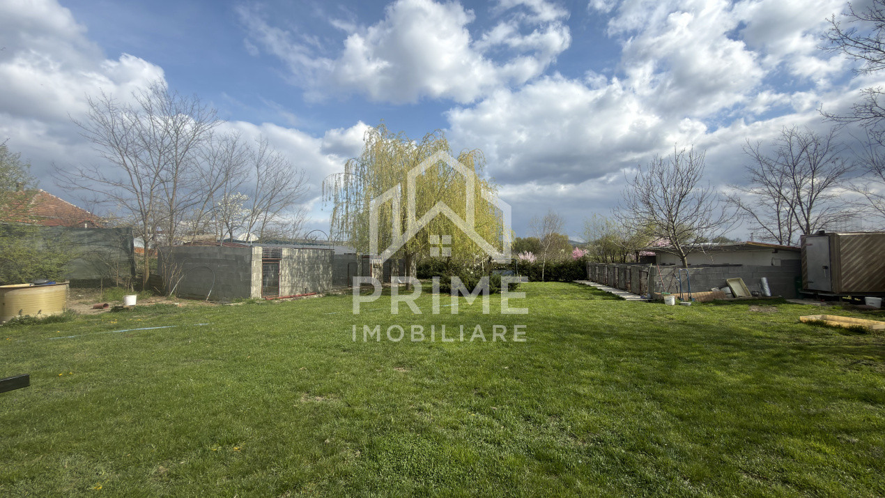 Terenuri de vanzare Leorint 1