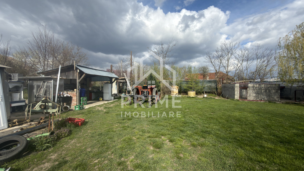 Terenuri de vanzare Leorint 2