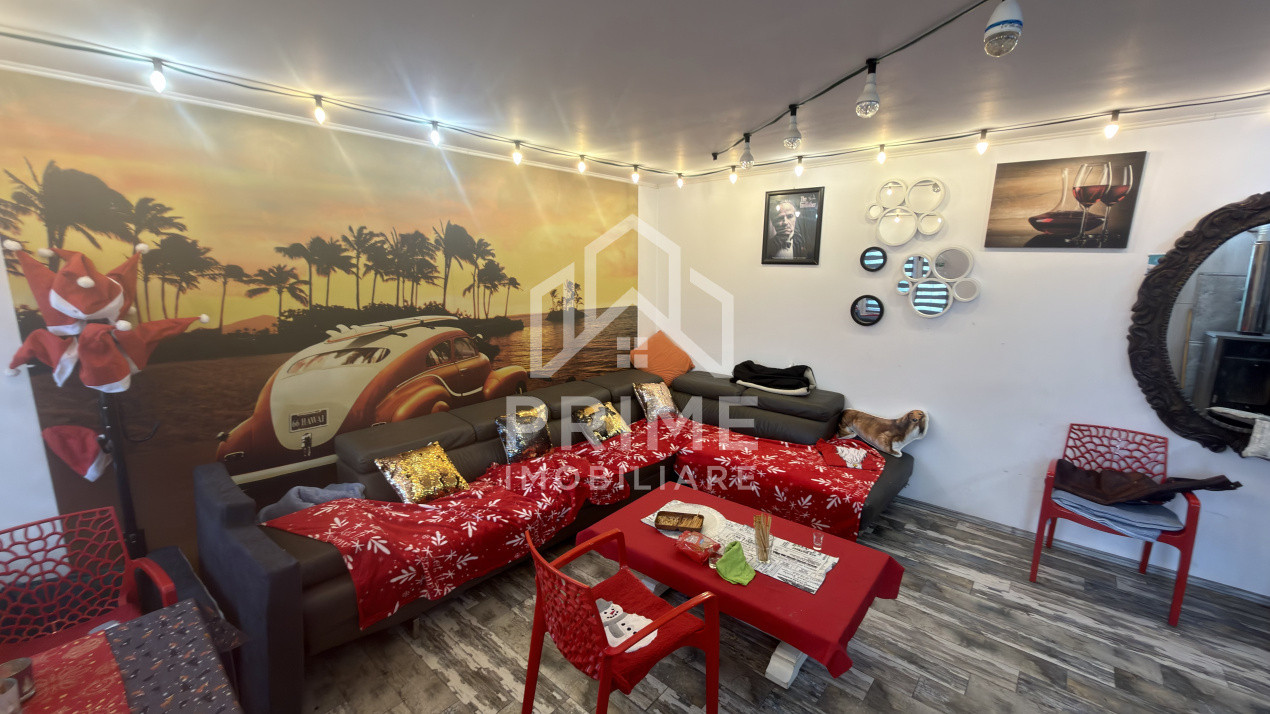 Case de vanzare Leorint 4