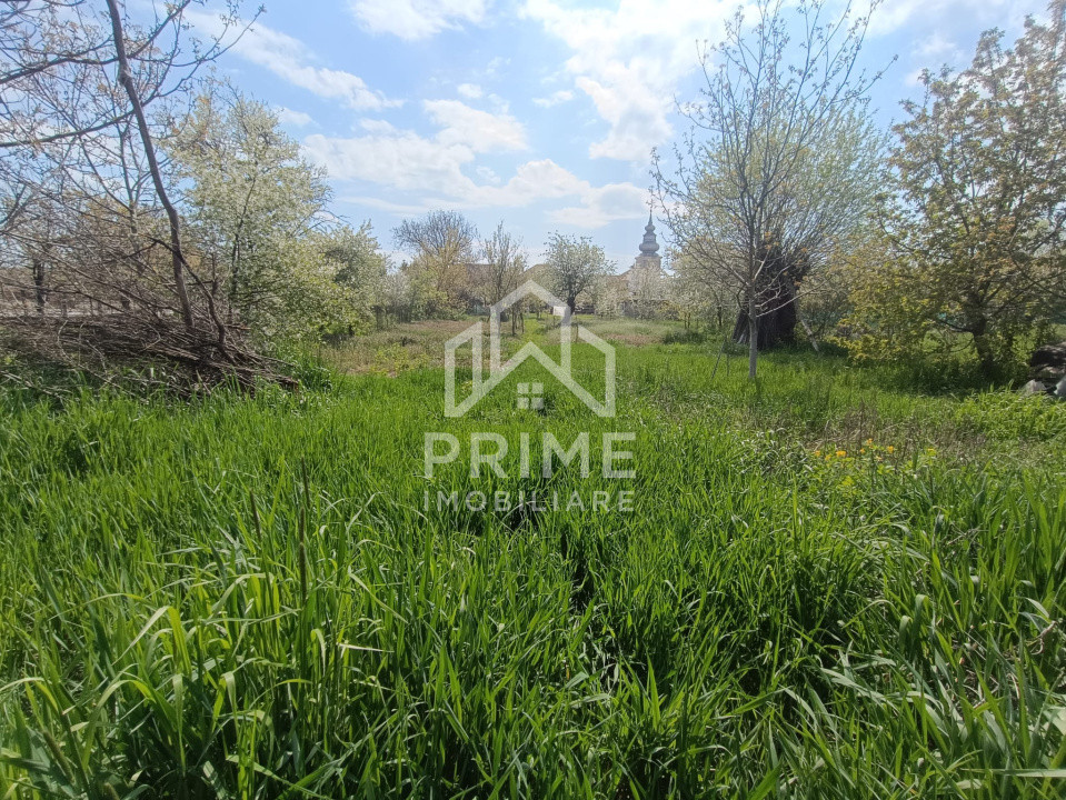 Terenuri de vanzare Alba Iulia Central 1