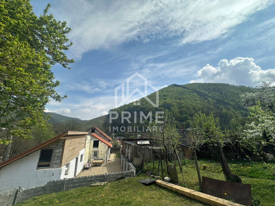 Case de vanzare Cugir 11