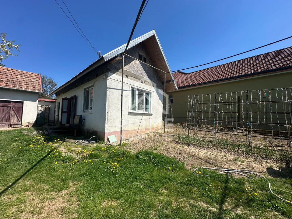 Case de vanzare Bucerdea Granoasa 11