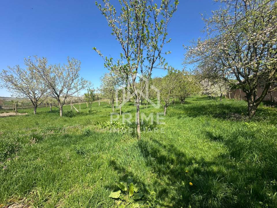 Case de vanzare Bucerdea Granoasa 13