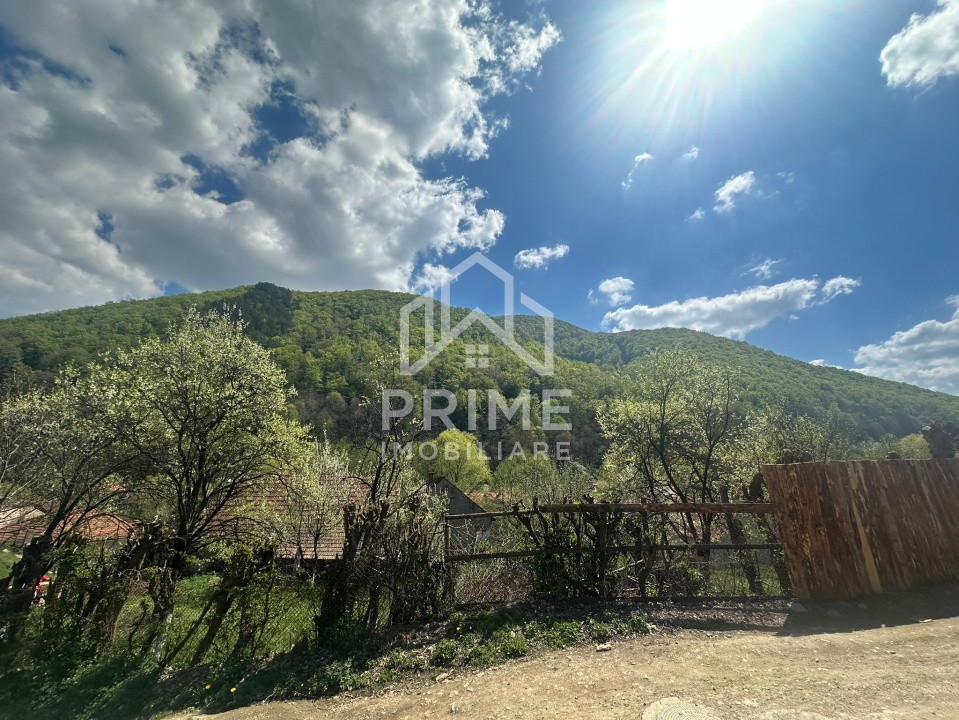 Case de vanzare Cugir 6