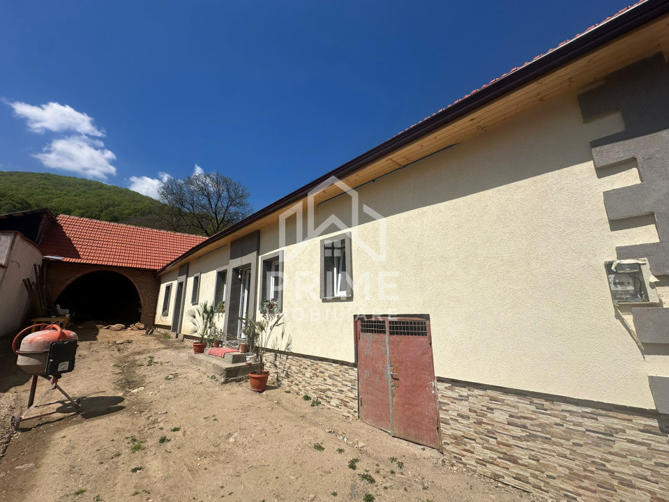 Case de vanzare Cugir 9