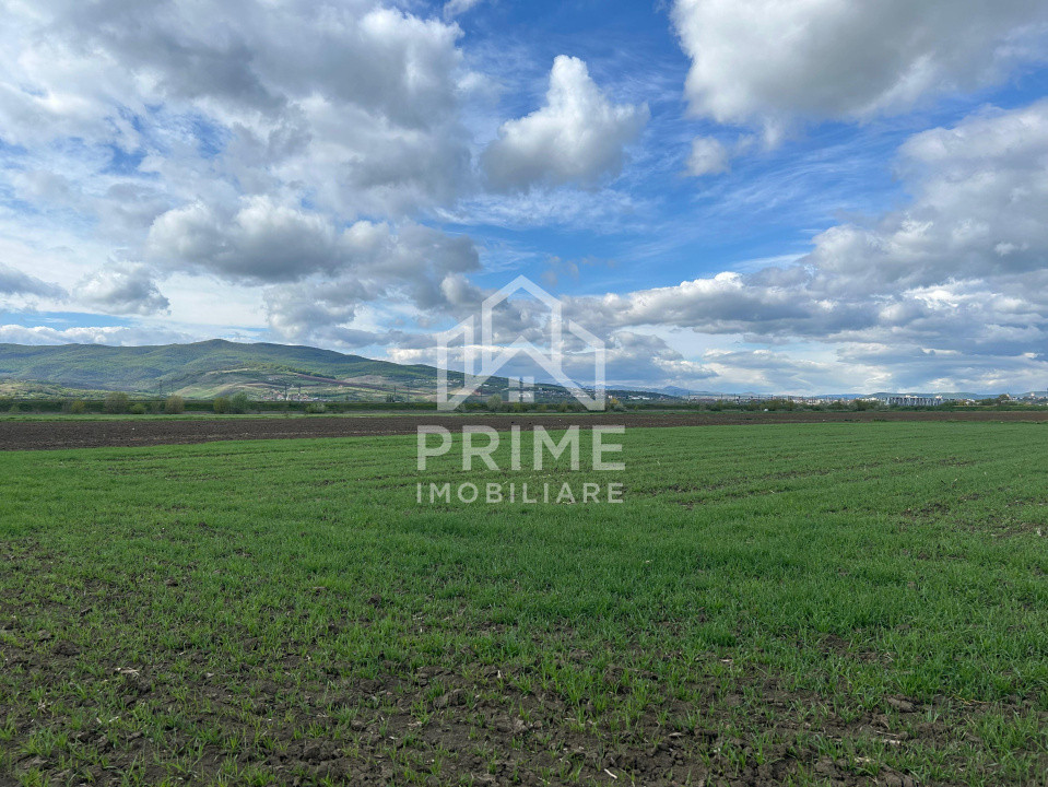 Terenuri de vanzare Oarda 1