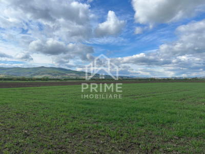 Terenuri de vanzare Oarda imagine mica 1