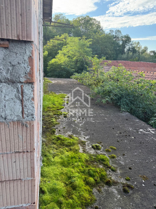 Case de vanzare Almasu Mare 5