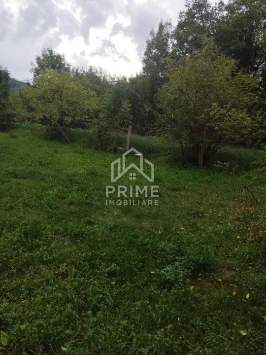 Case de vanzare Tauti Central 5