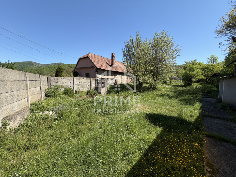 Case de vanzare Tauti Central 2