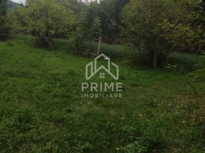 Case de vanzare Tauti Central imagine mica 5