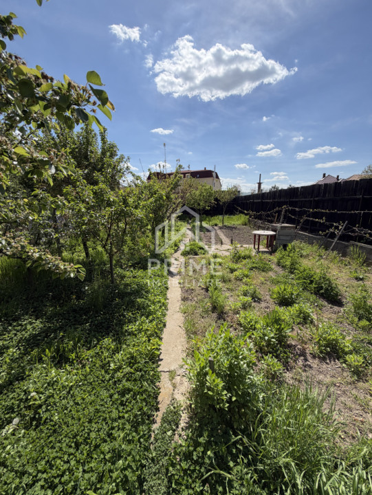 Case de vanzare Sebes Central 3