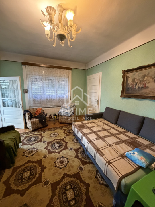 Case de vanzare Sebes Central 5