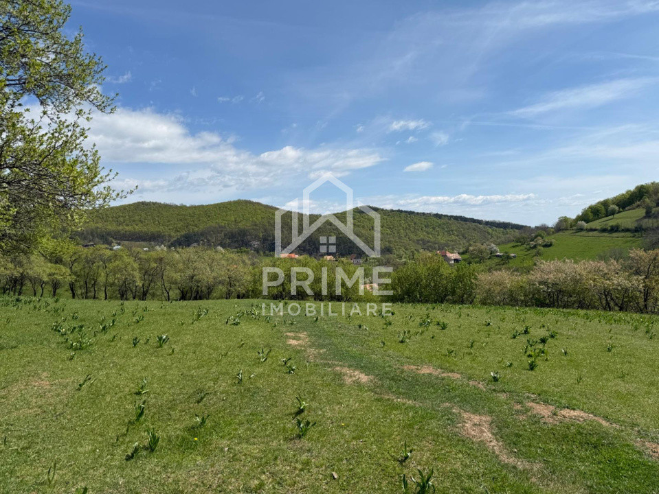 Terenuri de vanzare Inuri 1