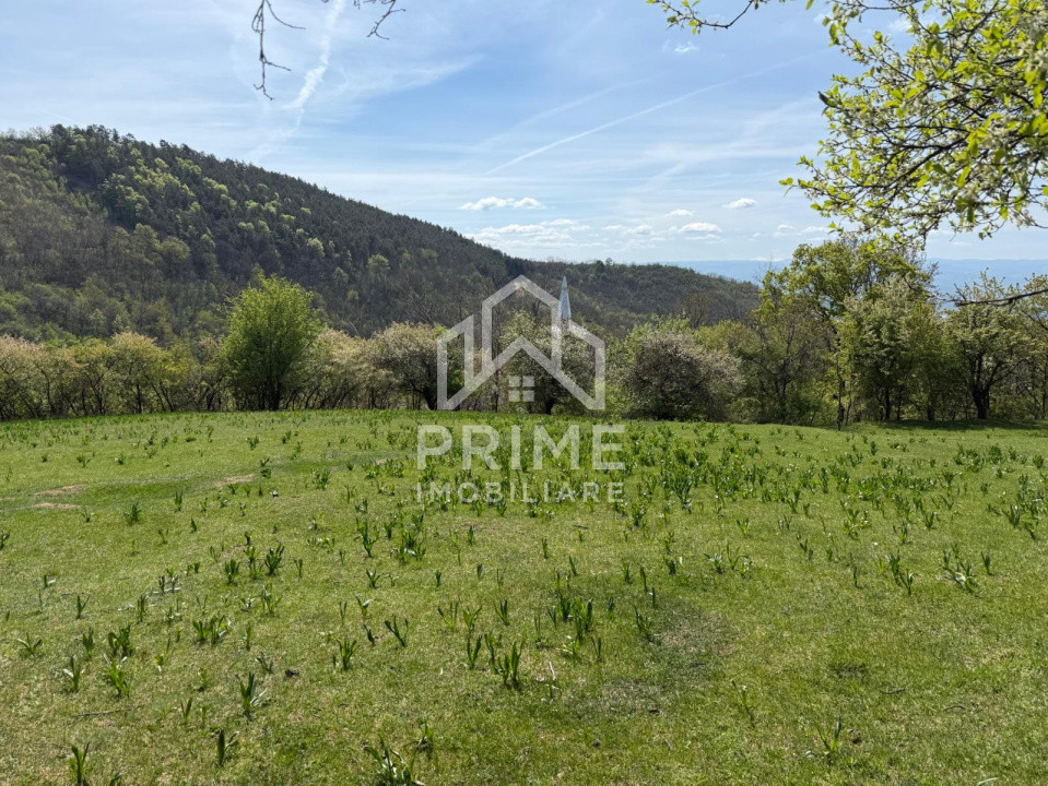 Terenuri de vanzare Inuri 2