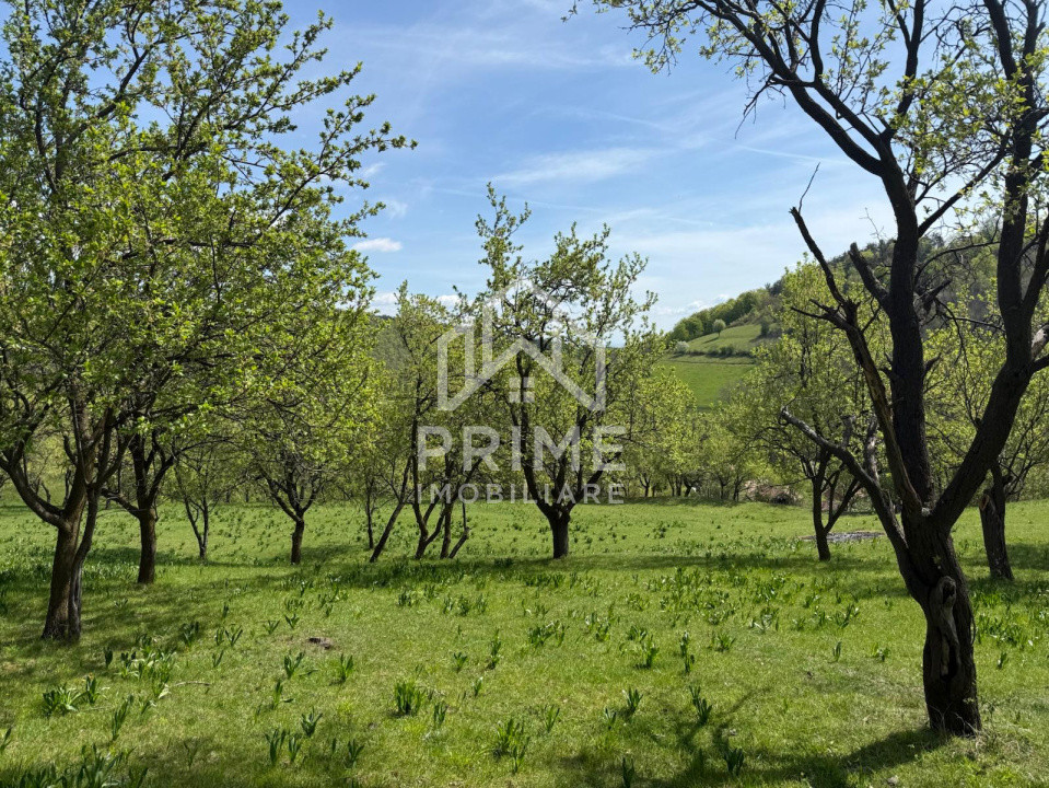 Terenuri de vanzare Inuri 4