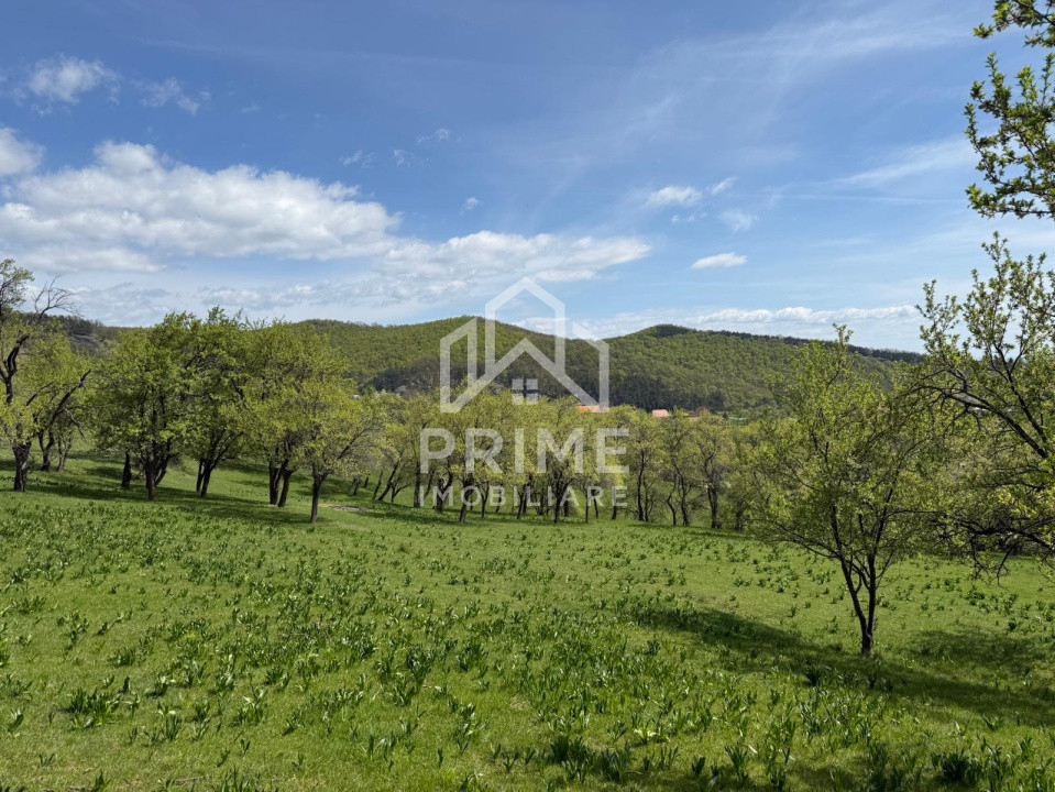 Terenuri de vanzare Inuri 5