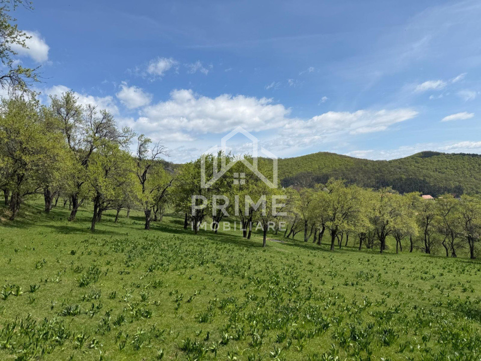 Terenuri de vanzare Inuri 6