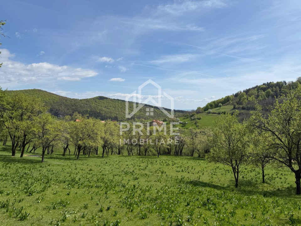 Terenuri de vanzare Inuri 7