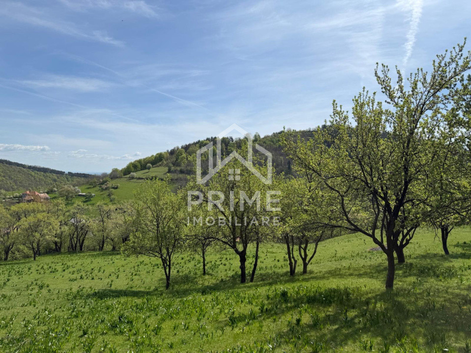 Terenuri de vanzare Inuri 8