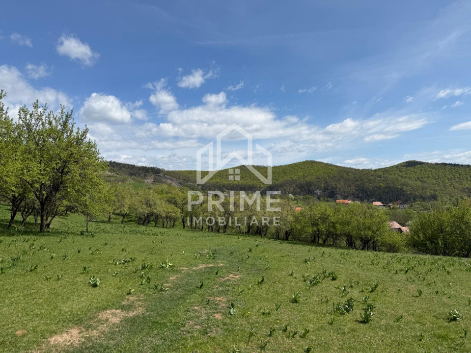 Terenuri de vanzare Inuri 10