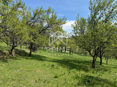 Terenuri de vanzare Inuri imagine mica 3