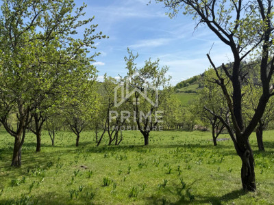 Terenuri de vanzare Inuri imagine mica 4