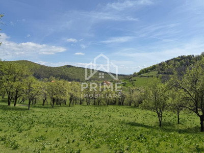 Terenuri de vanzare Inuri imagine mica 7