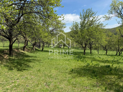 Terenuri de vanzare Inuri imagine mica 9