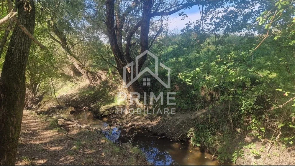 Case de vanzare Colibi 6