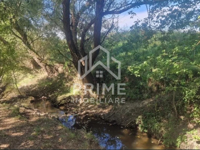 Case de vanzare Colibi imagine mica 6