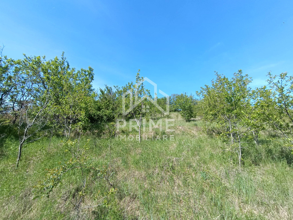 Terenuri de vanzare Paclisa Exterior Vest 2