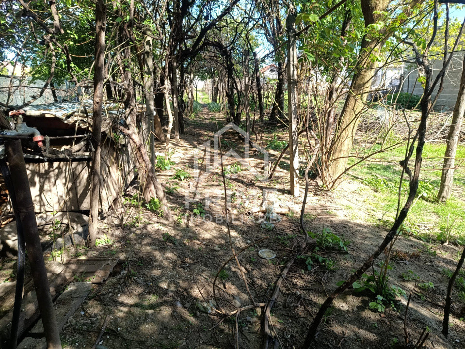 Case de vanzare Sebes 9