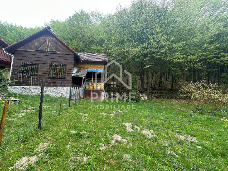 Case de vanzare Ighiel 1