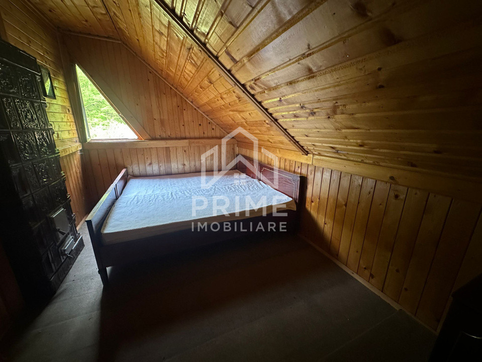 Case de vanzare Ighiel 4