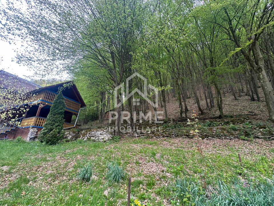 Case de vanzare Ighiel 10