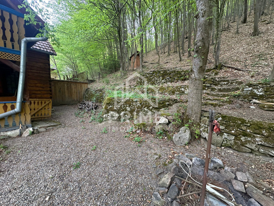 Case de vanzare Ighiel 12