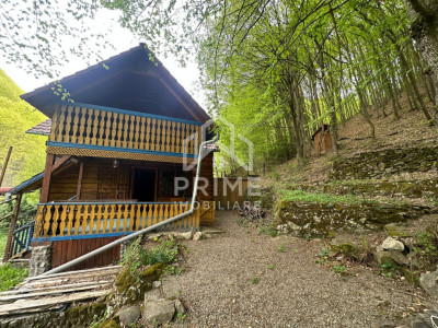 Case de vanzare Ighiel imagine mica 2