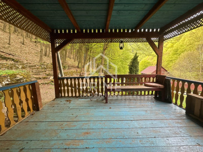 Case de vanzare Ighiel imagine mica 9