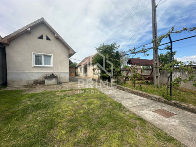 Case de vanzare Sebes imagine mica 1
