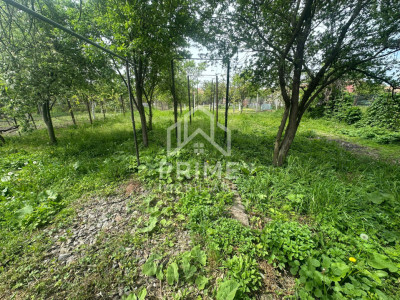 Case de vanzare Sebes imagine mica 11