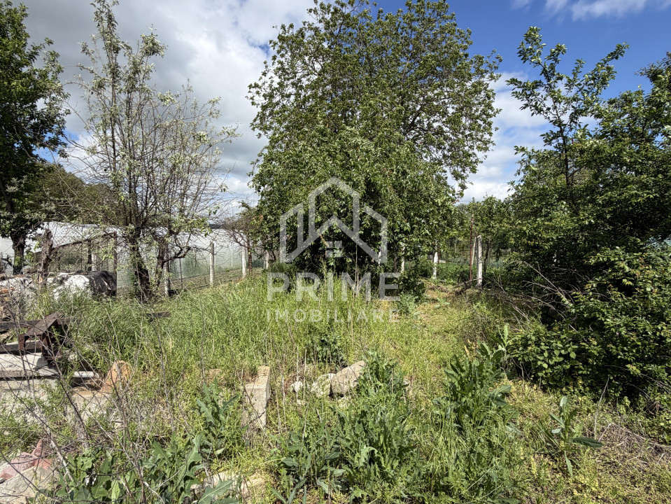 Case de vanzare Sebes Central 16