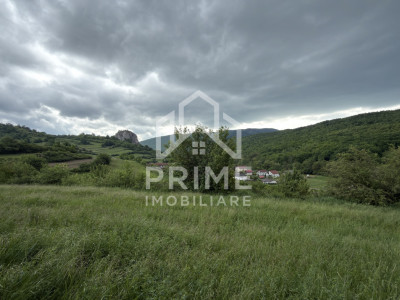 Teren extravilan | 4000 mp | zona Ampoita
